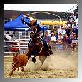photo rodeo